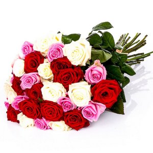 White, Red & Pink Roses