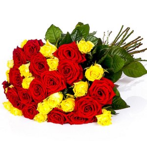 Red & Yellow Roses