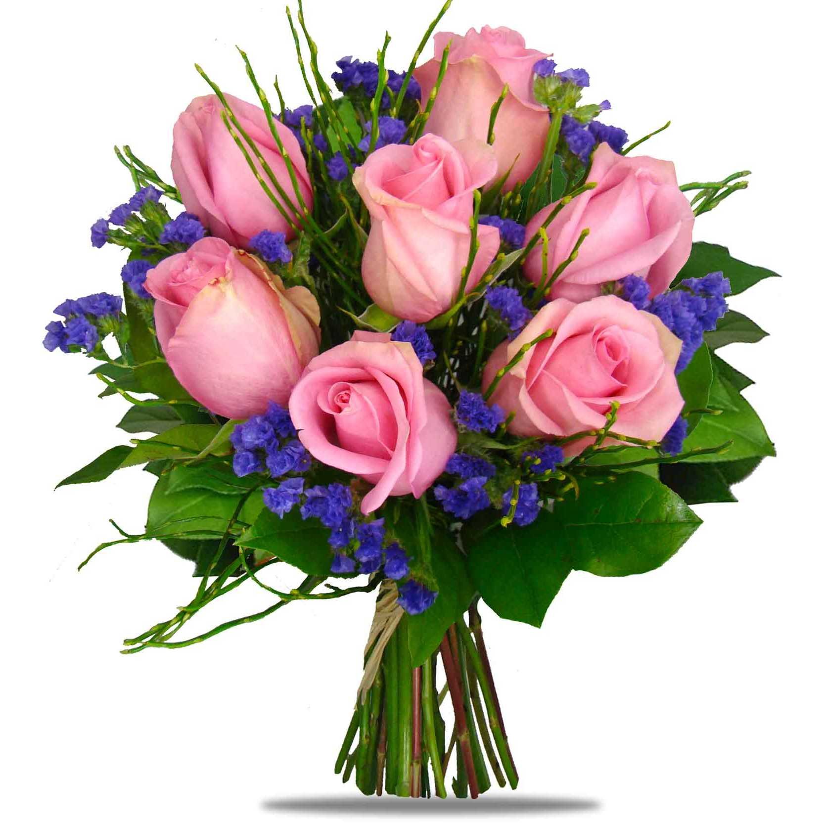 Růžové růže Madeline | Online květiny Jana | Rozvoz květin