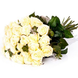 Bílé růže s pírky a eucalyptem vlastní počet