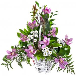 Orchids Basket