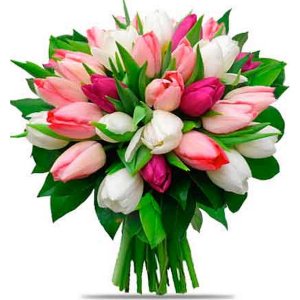 Míchané růžové a bílé tulipány