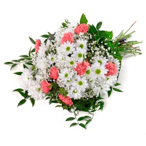 Sympathy Chrysanths & Carnations