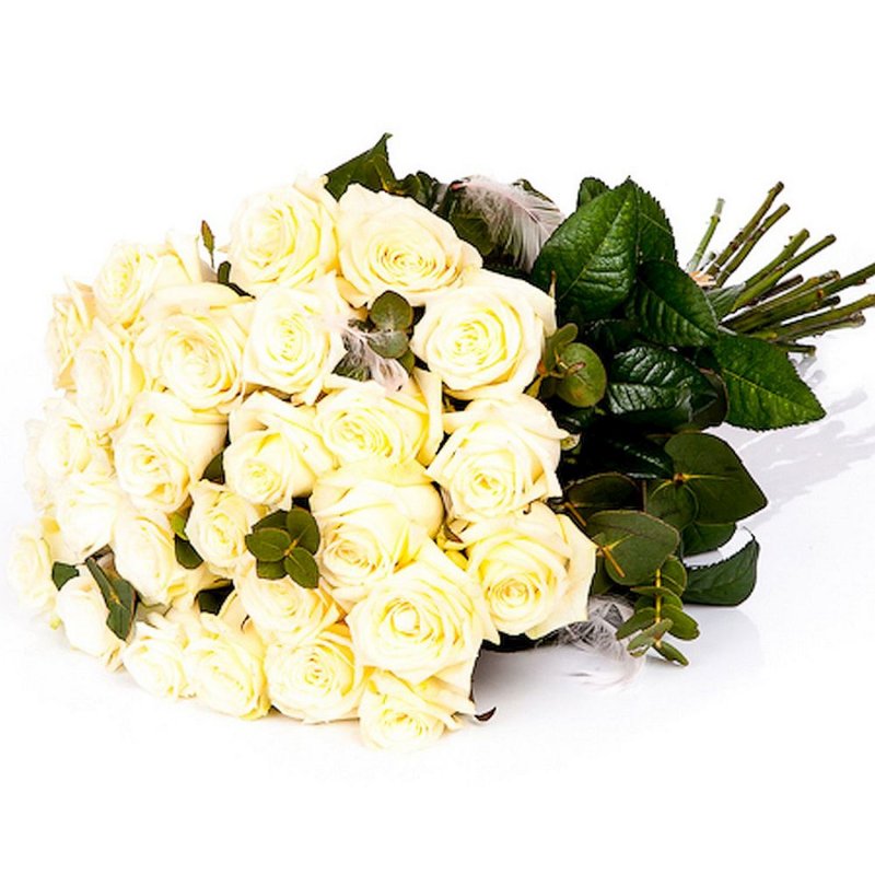 Bílé růže s pírky a eucalyptem vlastní počet
