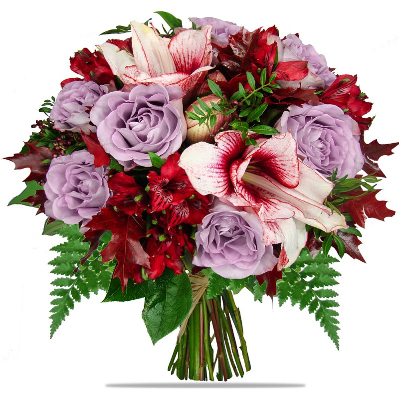 Purple Roses and Belladonna Lilies